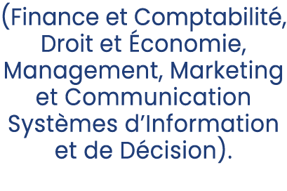 (Finance et Comptabilit , Droit et conomie, Management, Marketing et Communication Syst mes d’Information et de D ci...